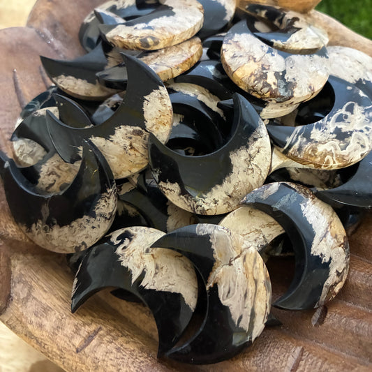 Indonesia Palm Root - Moon - Cabochon