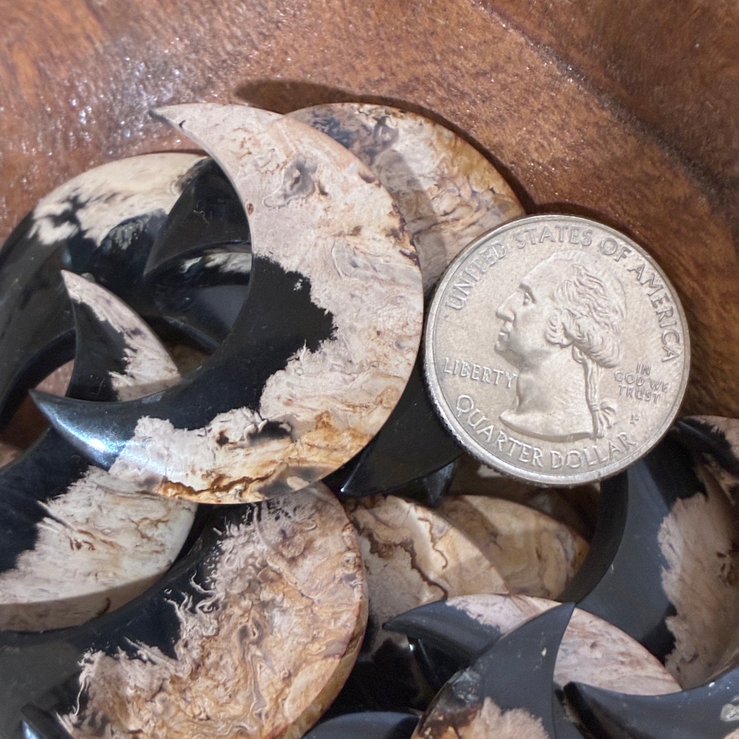 Indonesia Palm Root - Moon - Cabochon