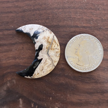Indonesia Palm Root - Moon - Cabochon
