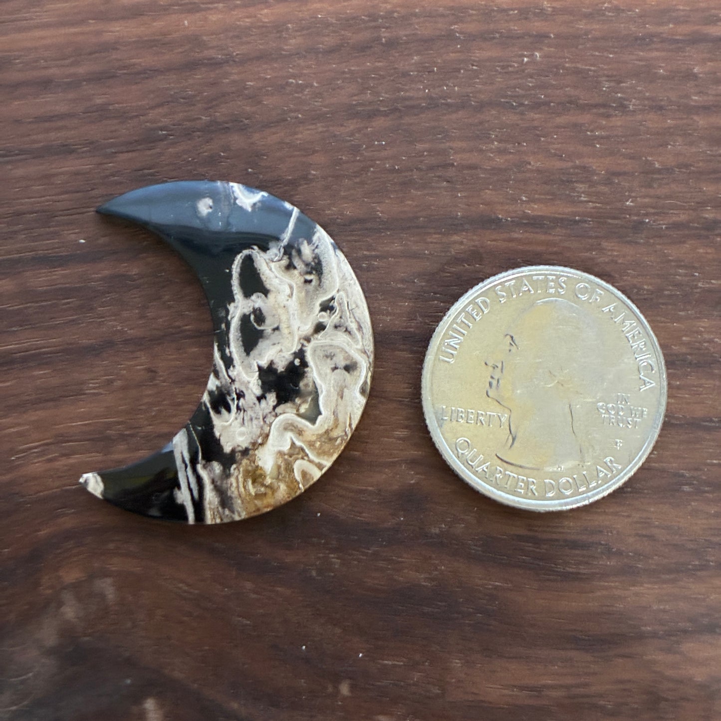 Indonesia Palm Root - Moon - Cabochon