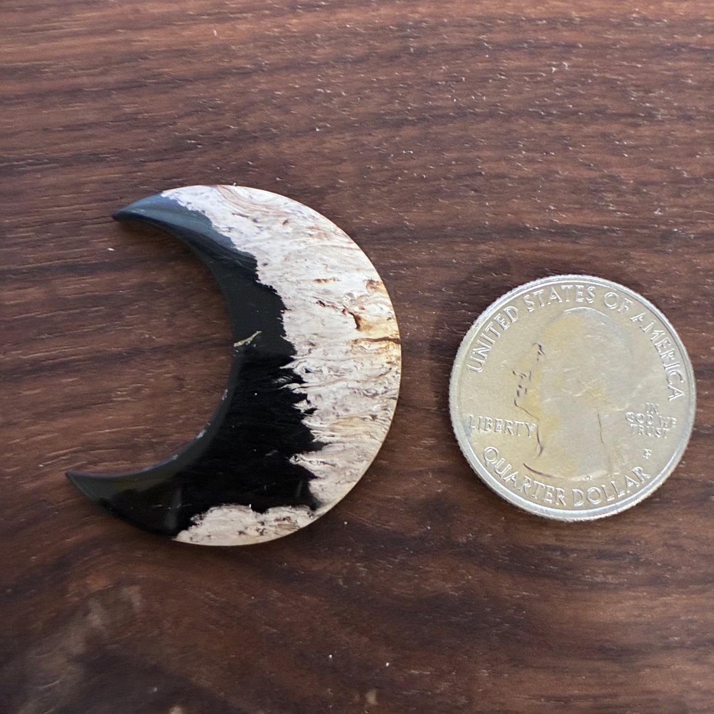 Indonesia Palm Root - Moon - Cabochon