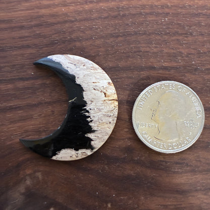 Indonesia Palm Root - Moon - Cabochon