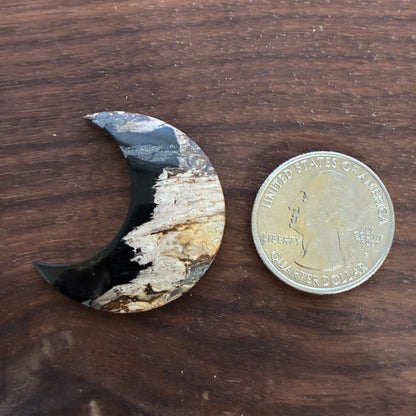 Indonesia Palm Root - Moon - Cabochon