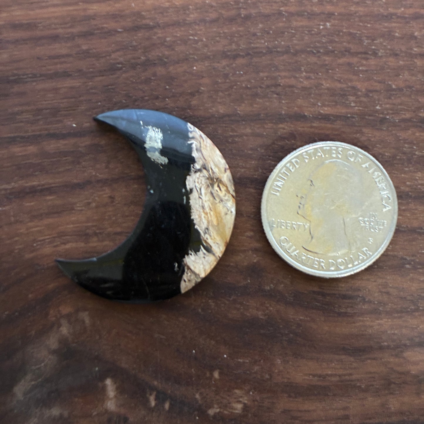 Indonesia Palm Root - Moon - Cabochon