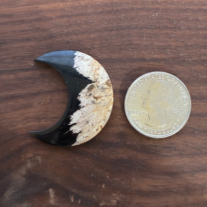 Indonesia Palm Root - Moon - Cabochon