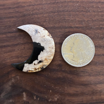 Indonesia Palm Root - Moon - Cabochon