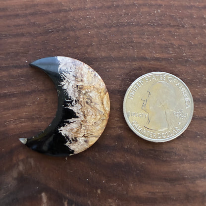 Indonesia Palm Root - Moon - Cabochon