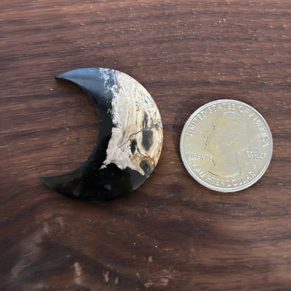 Indonesia Palm Root - Moon - Cabochon