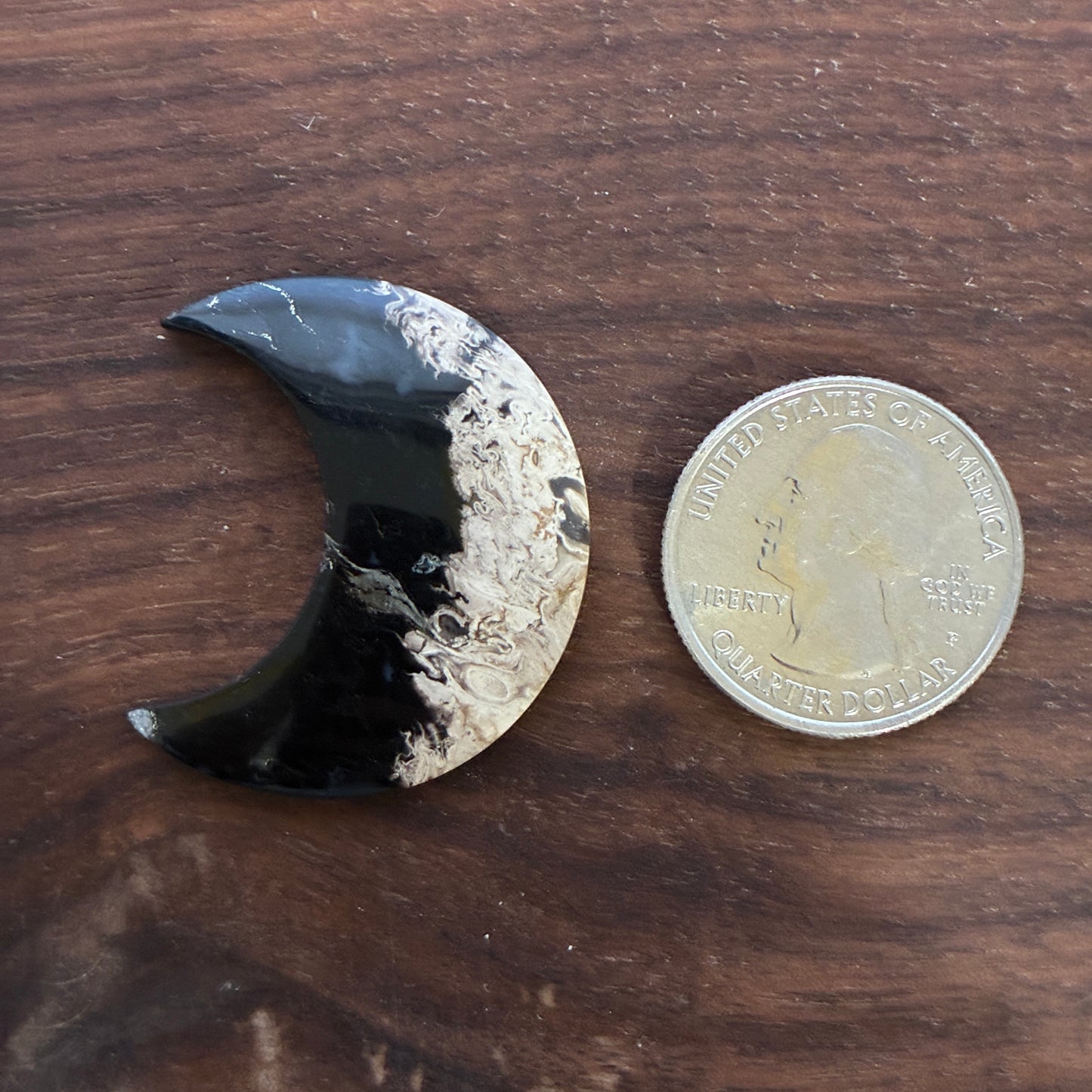 Indonesia Palm Root - Moon - Cabochon