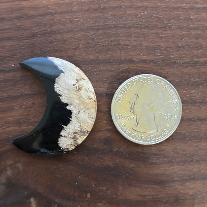 Indonesia Palm Root - Moon - Cabochon