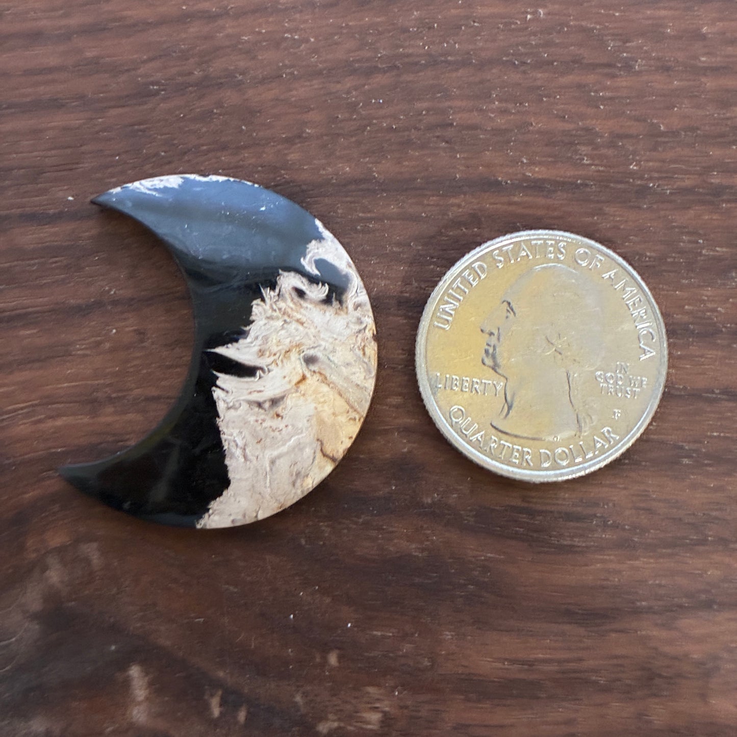 Indonesia Palm Root - Moon - Cabochon