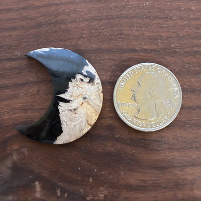 Indonesia Palm Root - Moon - Cabochon