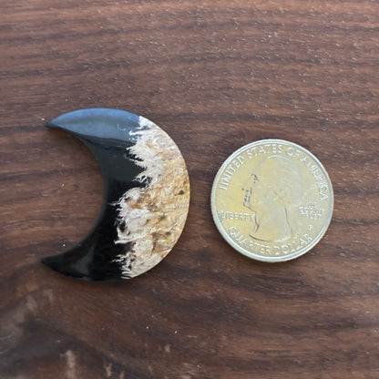 Indonesia Palm Root - Moon - Cabochon