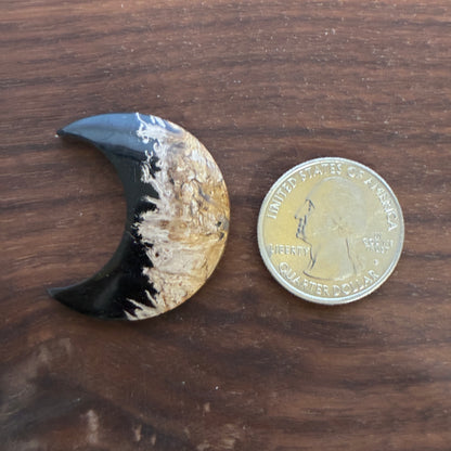 Indonesia Palm Root - Moon - Cabochon