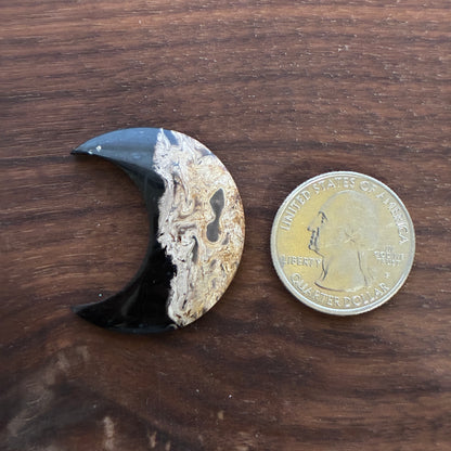 Indonesia Palm Root - Moon - Cabochon