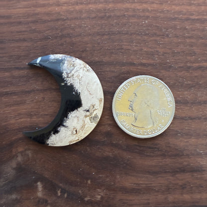 Indonesia Palm Root - Moon - Cabochon