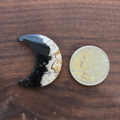 Indonesia Palm Root - Moon - Cabochon