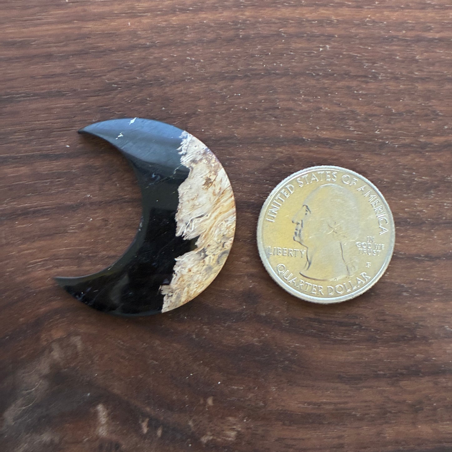 Indonesia Palm Root - Moon - Cabochon