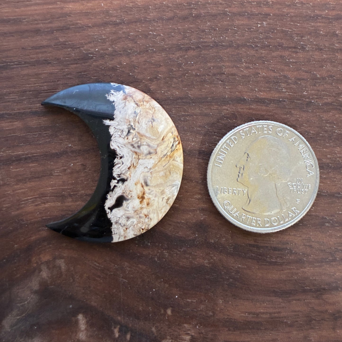 Indonesia Palm Root - Moon - Cabochon