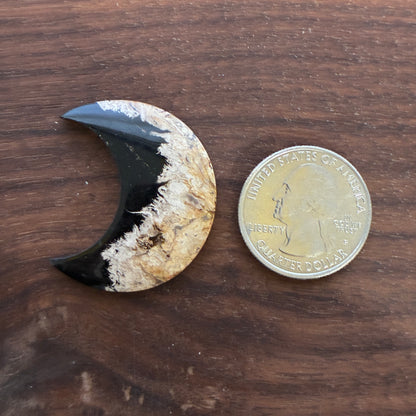 Indonesia Palm Root - Moon - Cabochon