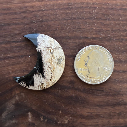 Indonesia Palm Root - Moon - Cabochon