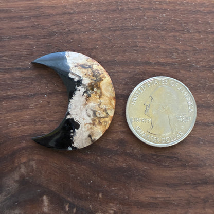 Indonesia Palm Root - Moon - Cabochon