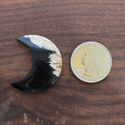 Indonesia Palm Root - Moon - Cabochon
