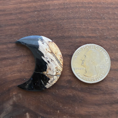 Indonesia Palm Root - Moon - Cabochon