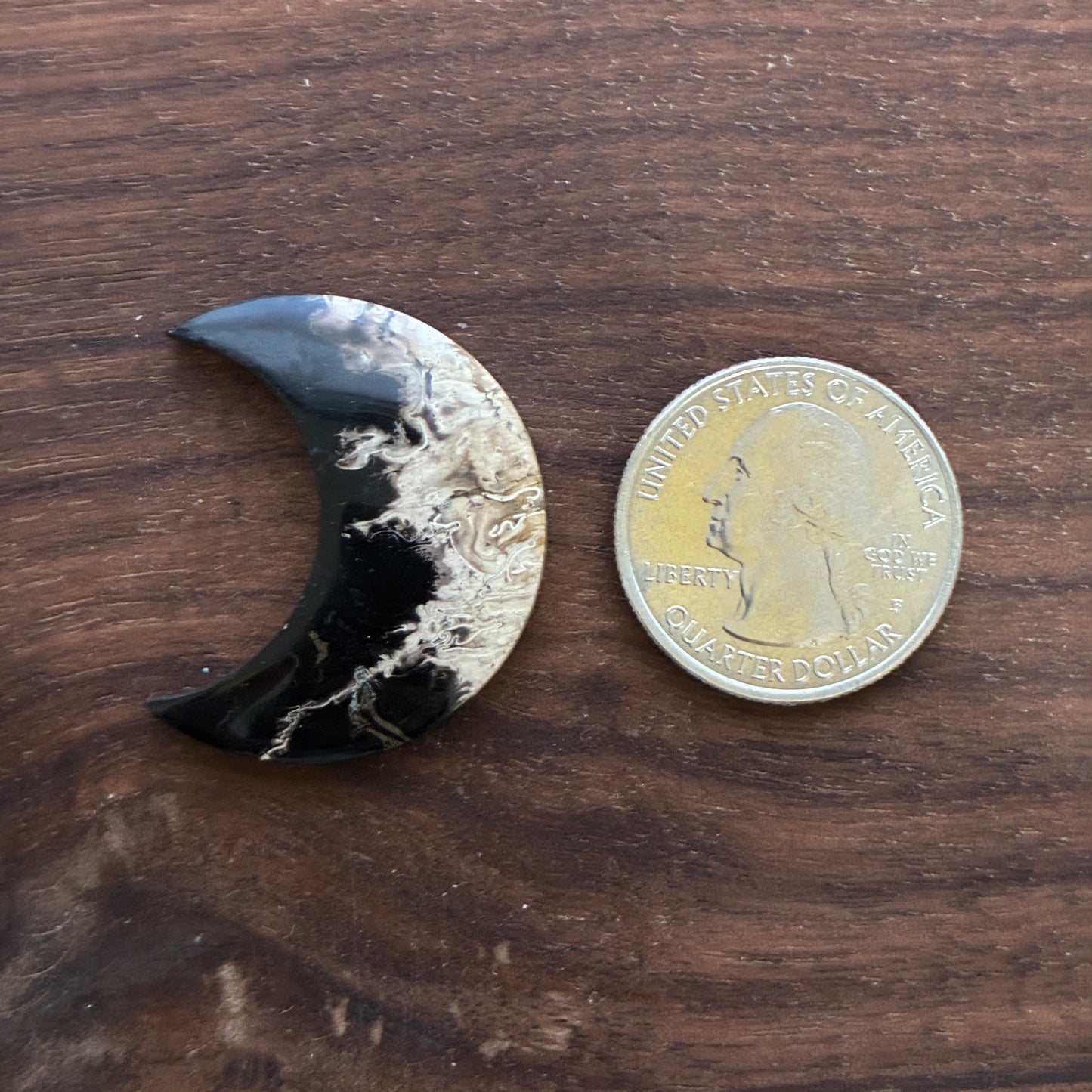 Indonesia Palm Root - Moon - Cabochon