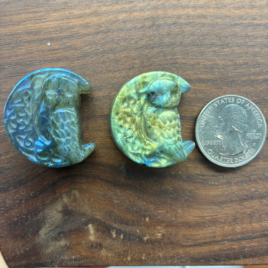 Labradorite Carving - Owl Moon - Flatback