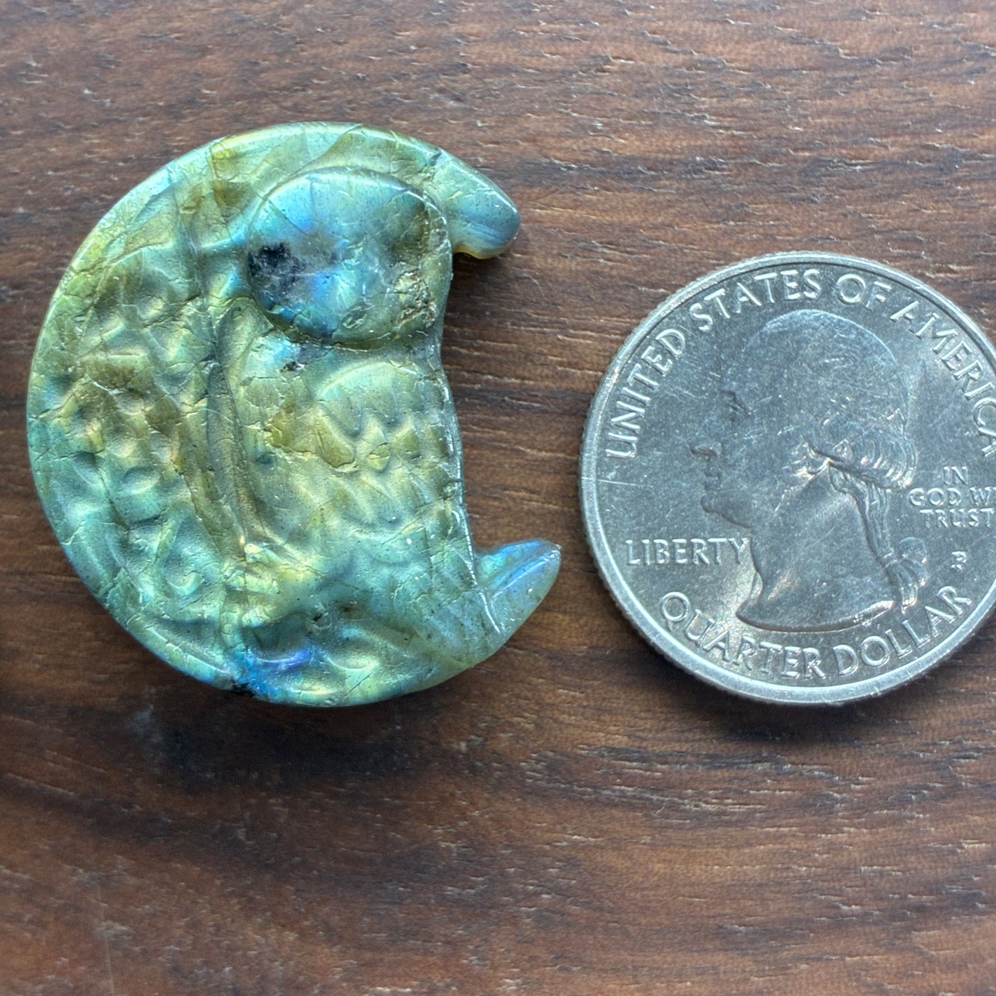 Labradorite Carving - Owl Moon - Flatback