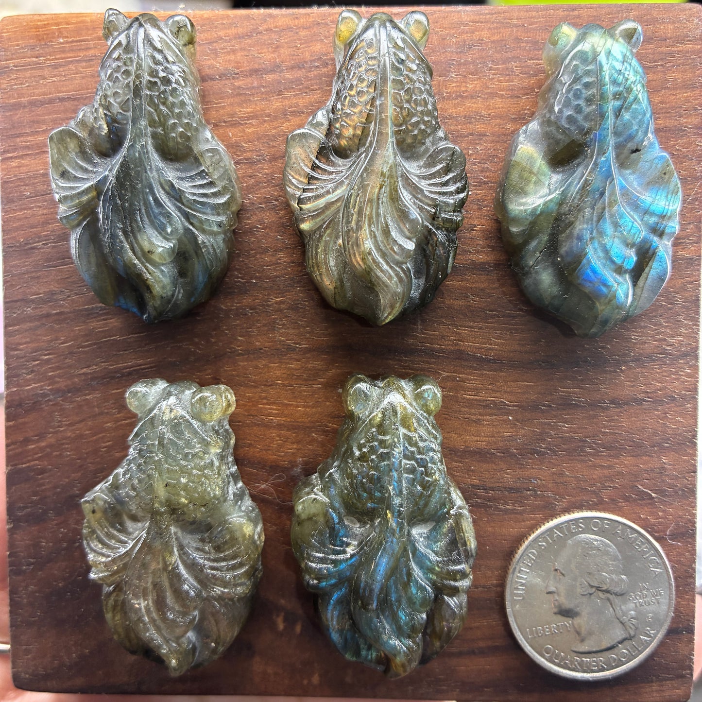 Labradorite Carving - Goldfish - Flatback