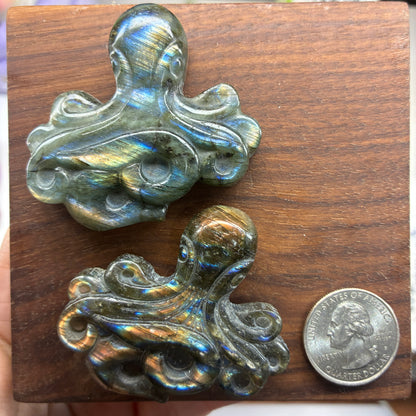 Labradorite Carving - Octopus - Flatback
