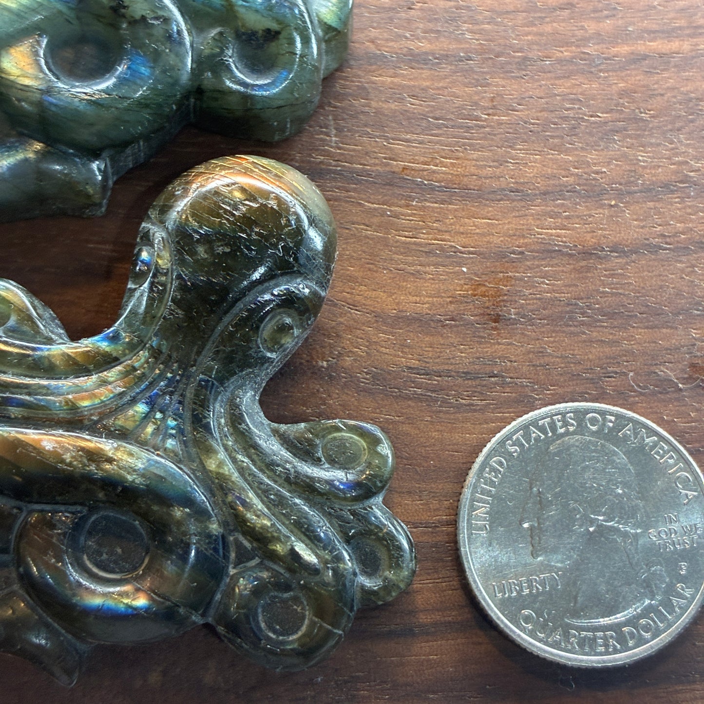 Labradorite Carving - Octopus - Flatback