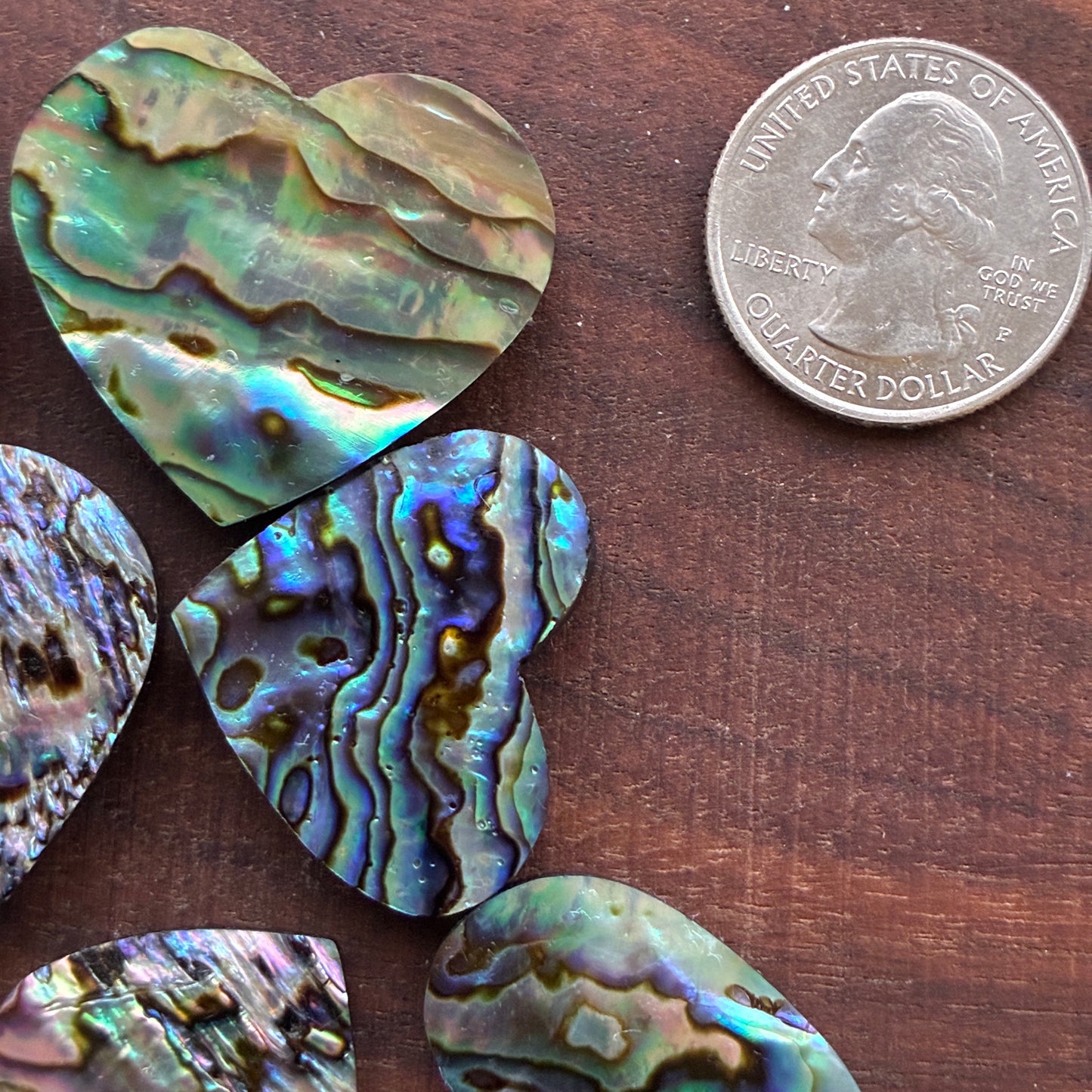 Abalone - Cabochon - Heart Shape