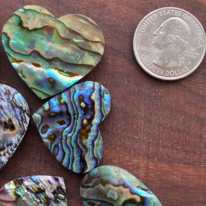 Abalone - Cabochon - Heart Shape