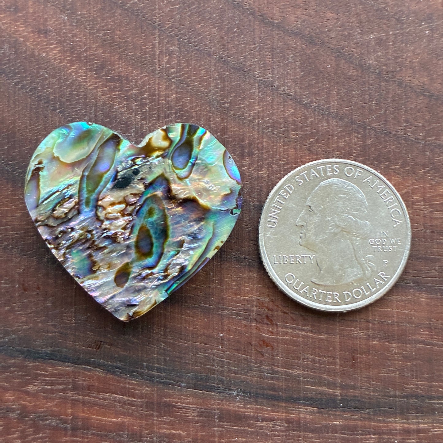 Abalone - Cabochon - Heart Shape