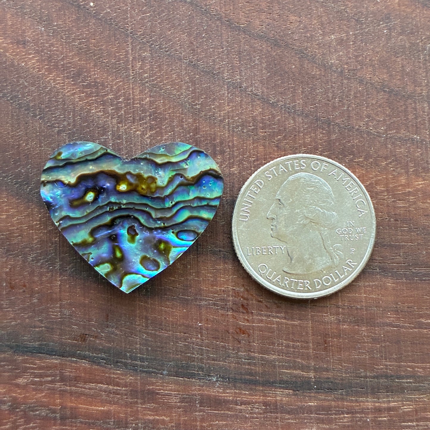Abalone - Cabochon - Heart Shape