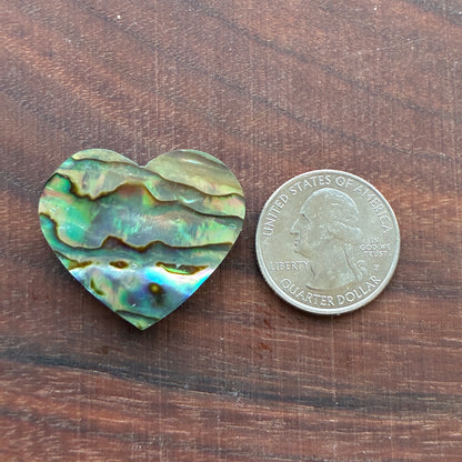 Abalone - Cabochon - Heart Shape