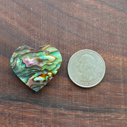 Abalone - Cabochon - Heart Shape