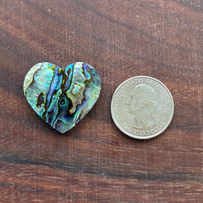 Abalone - Cabochon - Heart Shape