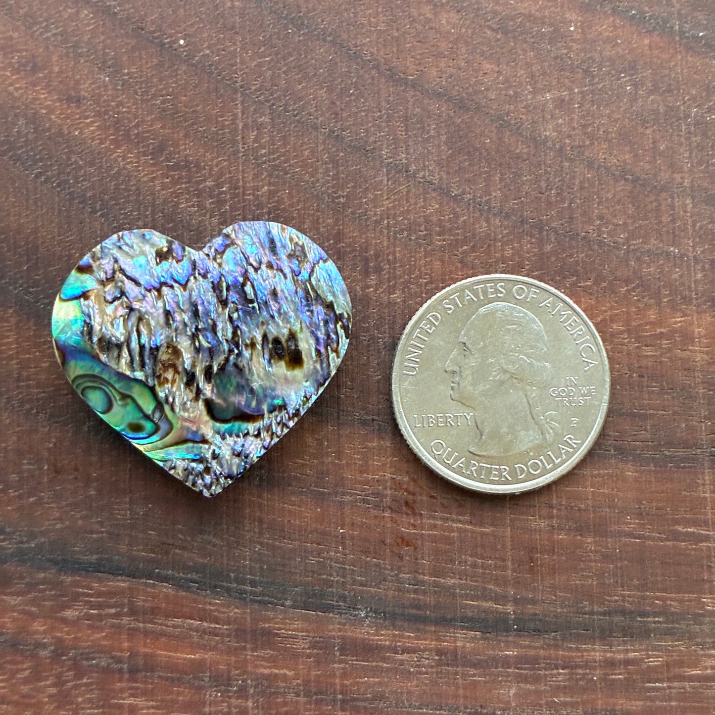 Abalone - Cabochon - Heart Shape
