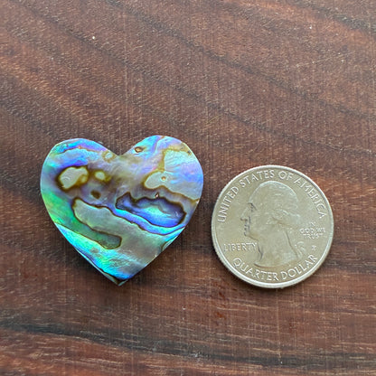 Abalone - Cabochon - Heart Shape