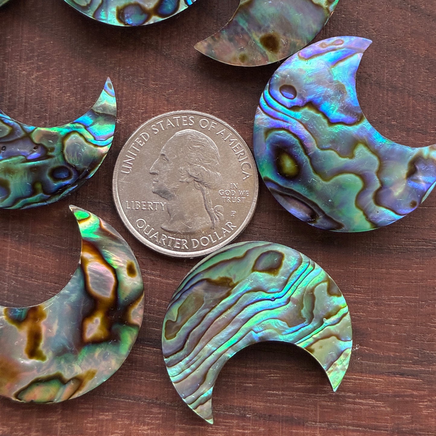 Abalone - Cabochon - Moon