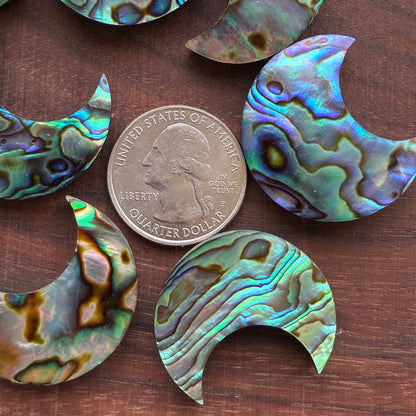 Abalone - Cabochon - Moon