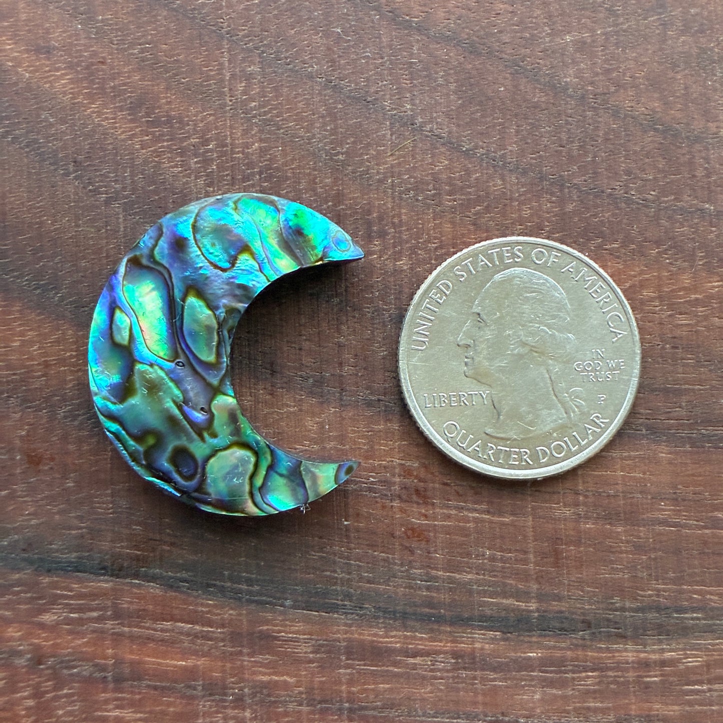 Abalone - Cabochon - Moon