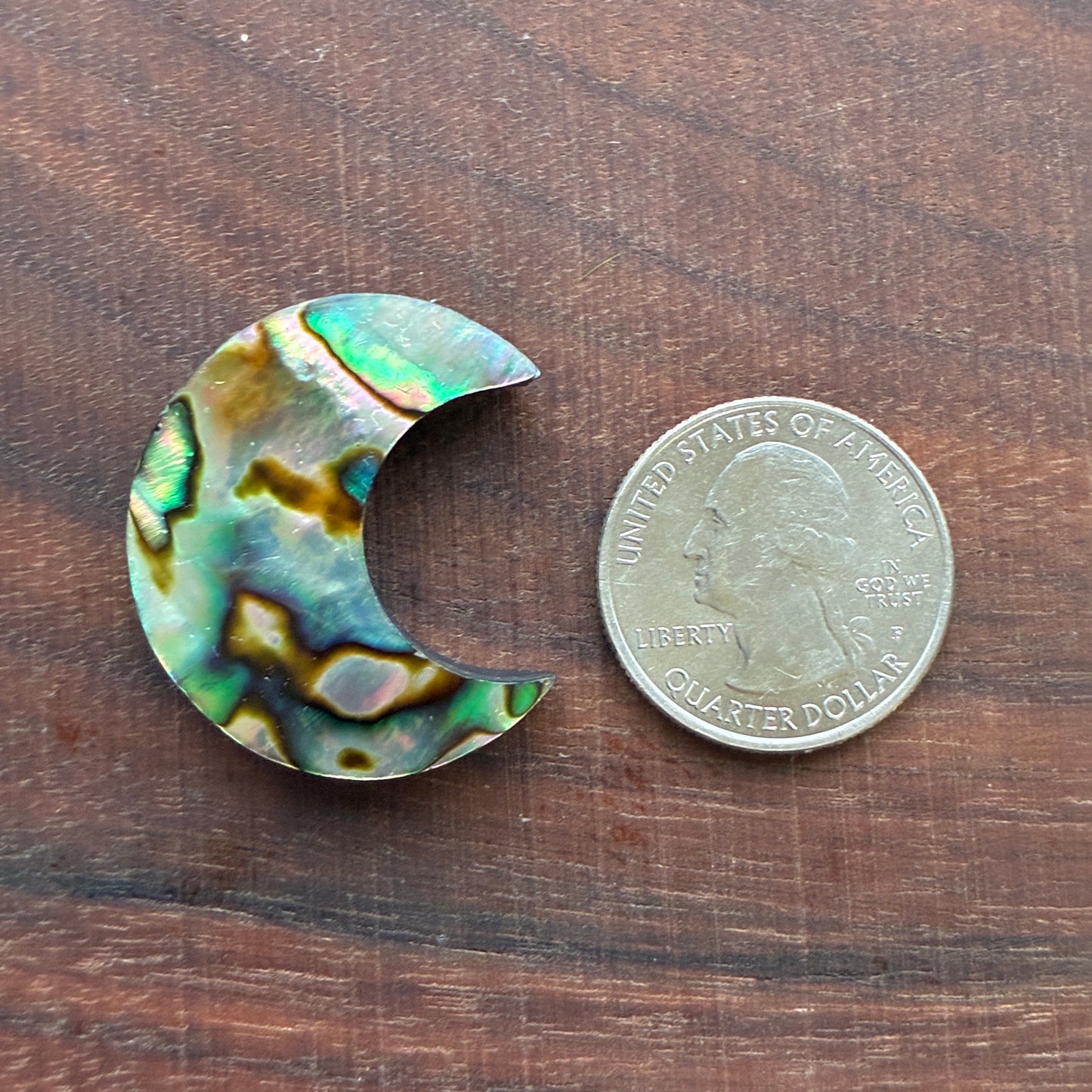 Abalone - Cabochon - Moon