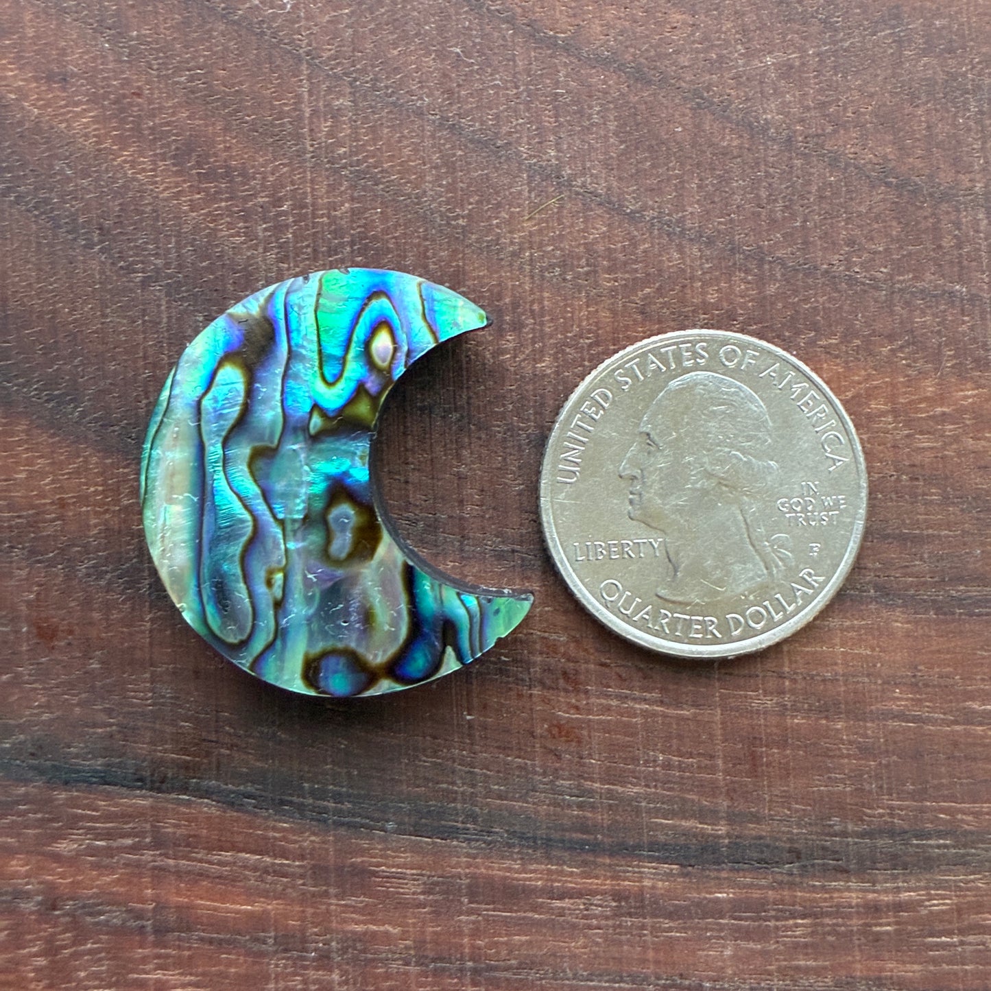 Abalone - Cabochon - Moon