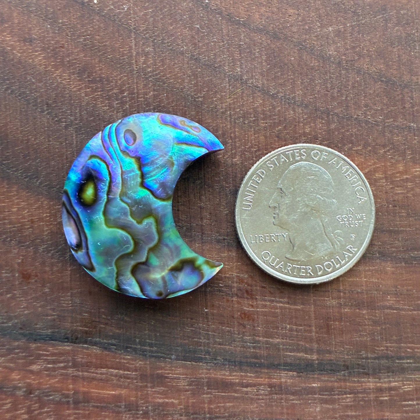 Abalone - Cabochon - Moon