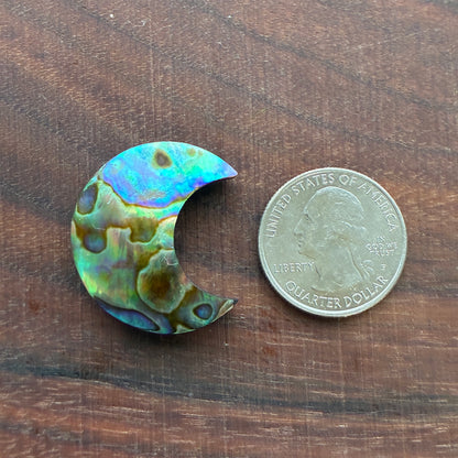 Abalone - Cabochon - Moon